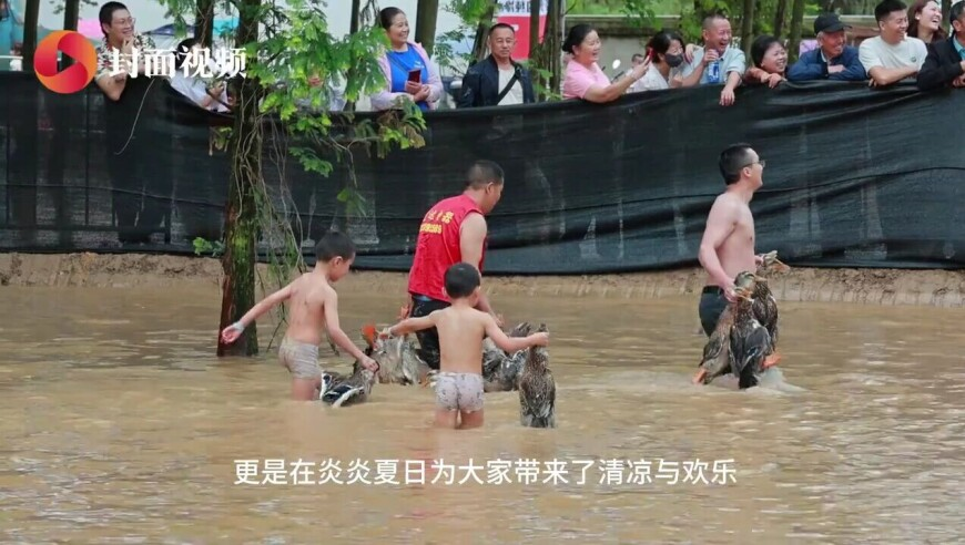 2025年今晚开奖结果澳门,猪价上涨猛抬头,最新热门解答落实_优选版V14.47