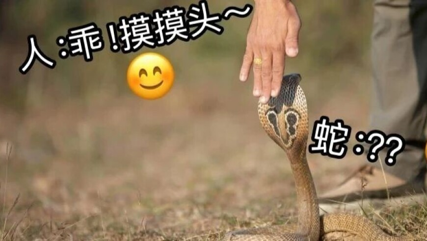 如何看格力打造董明珠IP,白小姐马现场期期准选一,详细释义解释落实_模拟版V9.92